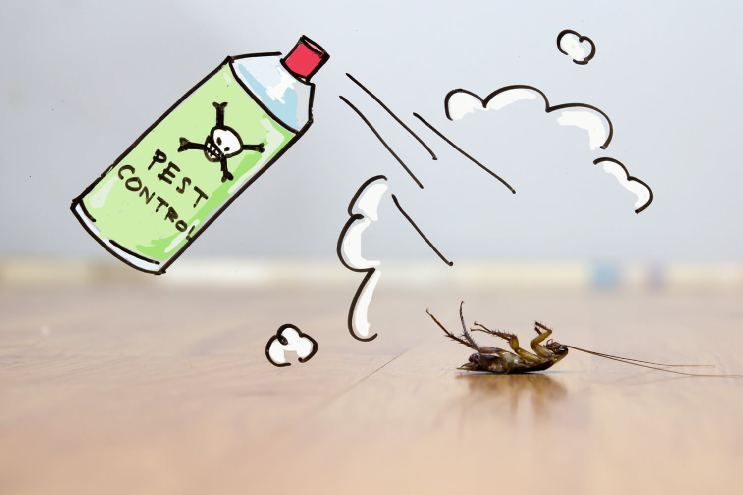 Pest Control services