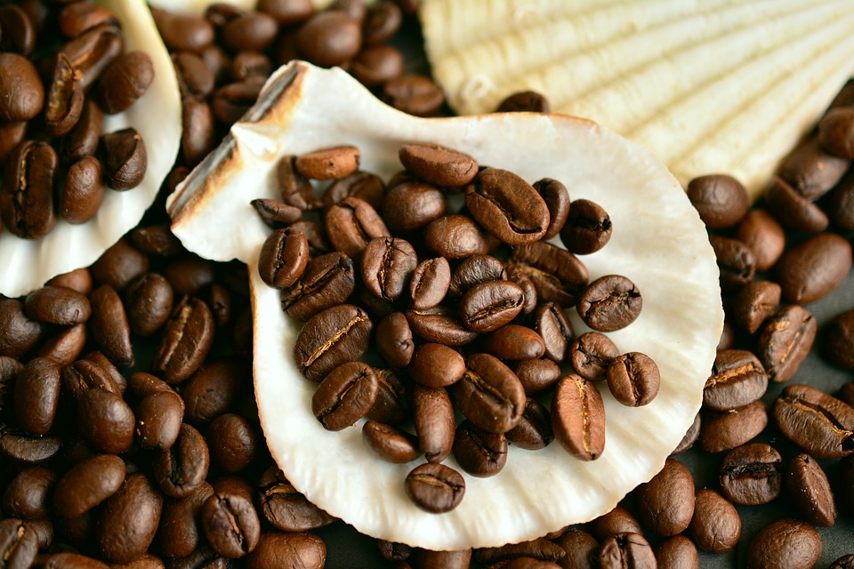 coffee beans sydney