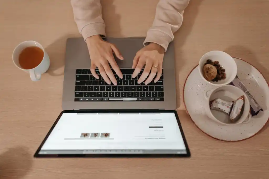 web developers